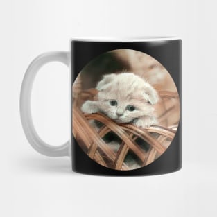 Beloved floppy cat Mug